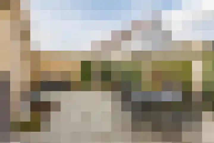 Johann Strauszstraat 25 Halsteren thumbnail 34