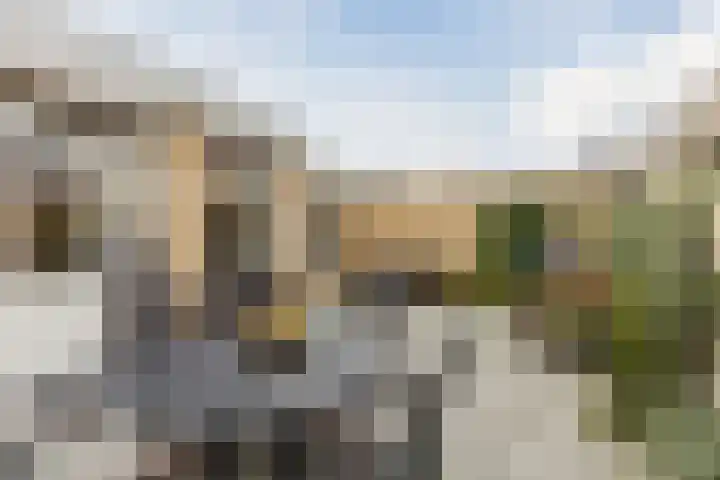 Johann Strauszstraat 25 Halsteren thumbnail 35