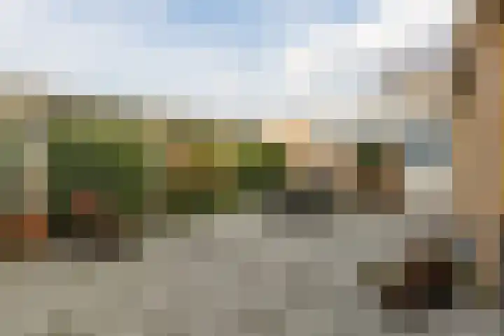 Johann Strauszstraat 25 Halsteren thumbnail 36