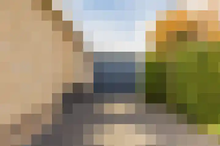 Johann Strauszstraat 25 Halsteren thumbnail 37
