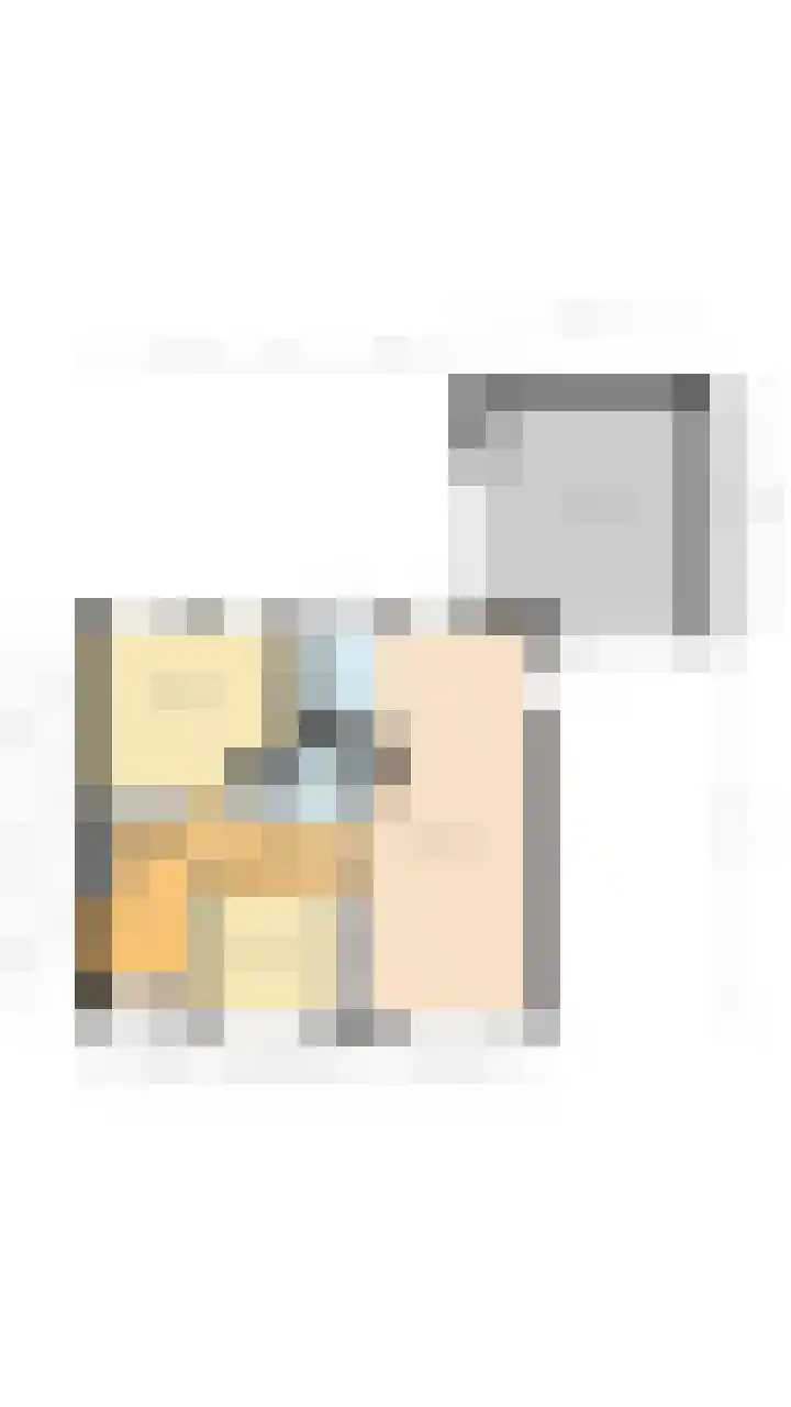 Johann Strauszstraat 25 Halsteren thumbnail 38