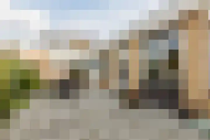 Johann Strauszstraat 25 Halsteren thumbnail 5