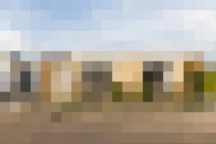 Johann Strauszstraat 25 Halsteren thumbnail 6
