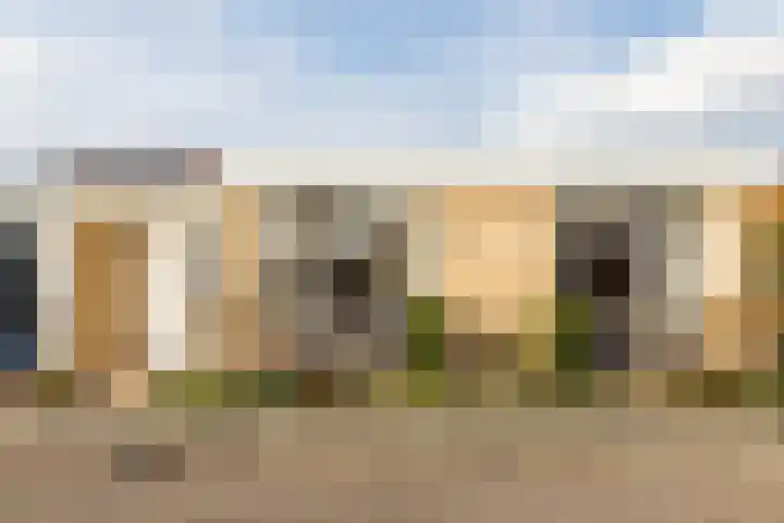 Johann Strauszstraat 25 Halsteren thumbnail 7