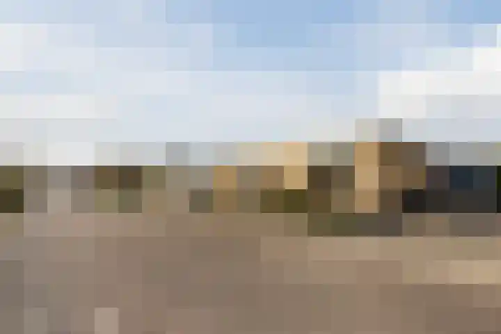 Johann Strauszstraat 25 Halsteren thumbnail 8