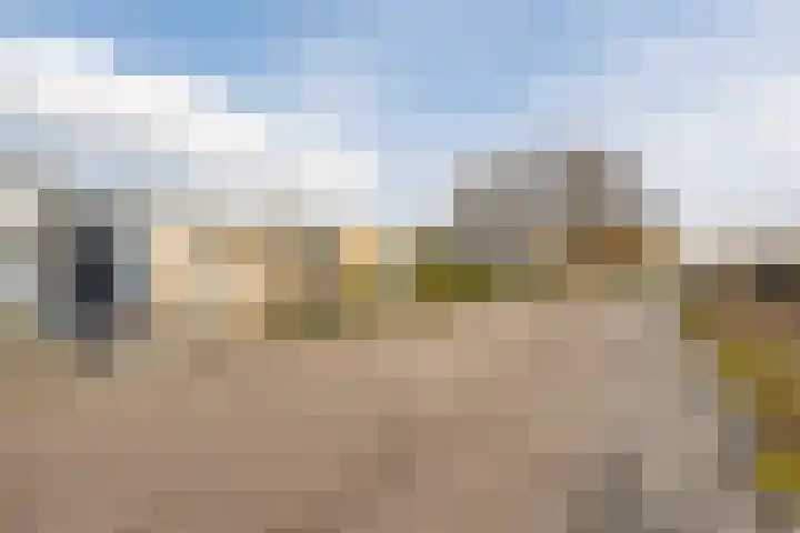 Johann Strauszstraat 25 Halsteren thumbnail 9