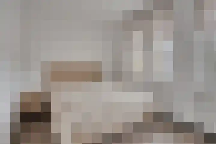 Johanna Bogaersplein 5 Helmond thumbnail 17