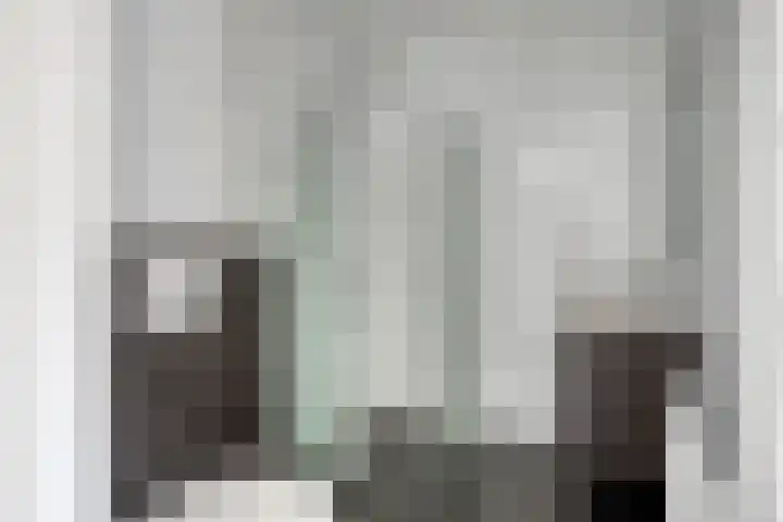 Johanna Bogaersplein 5 Helmond thumbnail 22