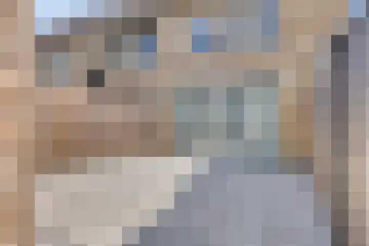 Johanna Bogaersplein 5 Helmond thumbnail 28