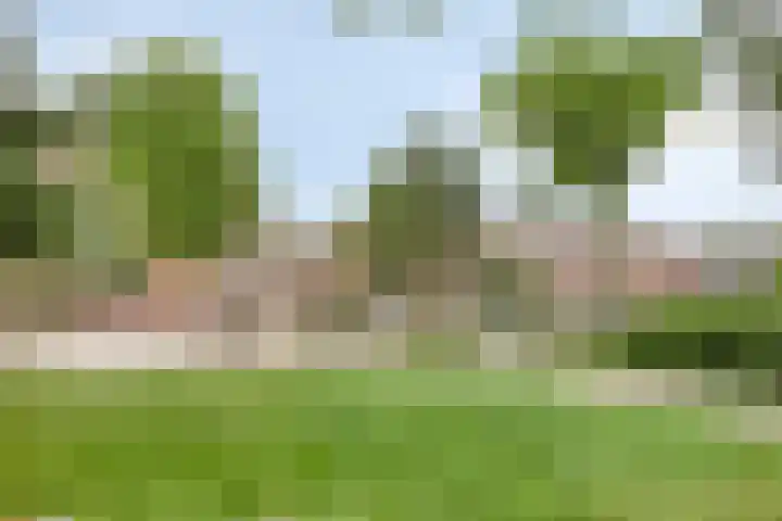 Johanna Bogaersplein 5 Helmond thumbnail 37