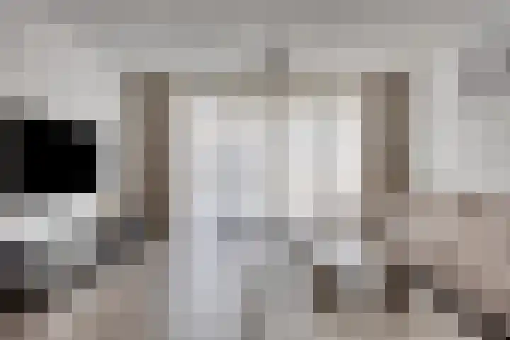 Johanna Bogaersplein 5 Helmond thumbnail 4
