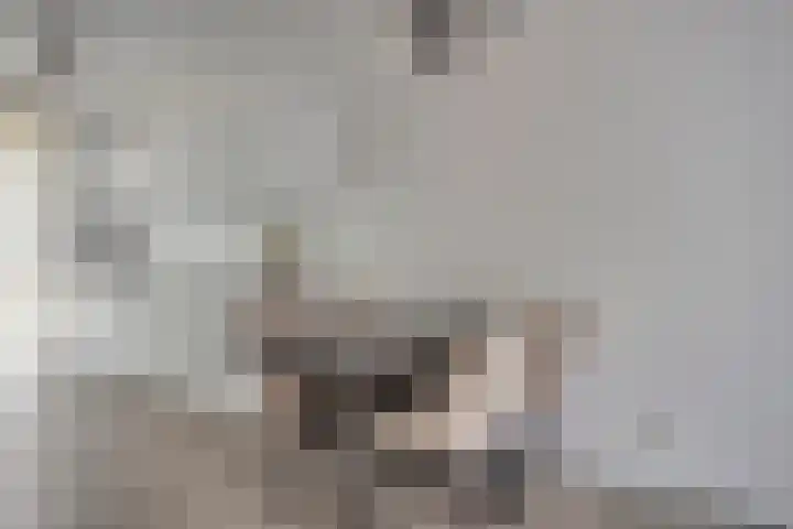 Johanna Bogaersplein 5 Helmond thumbnail 7