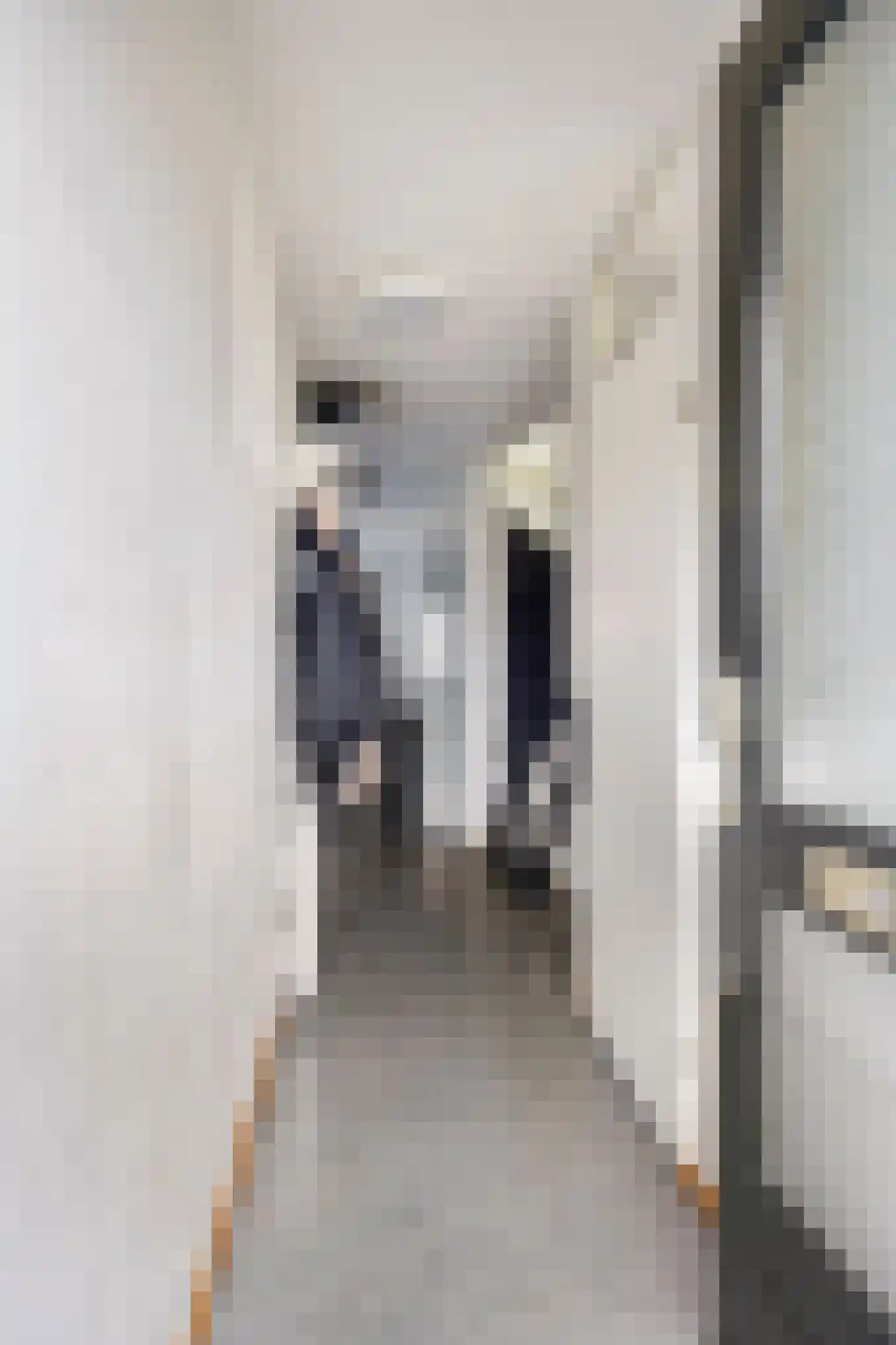 Johanna Dekhuijzenstraat 14 Rotterdam thumbnail 6