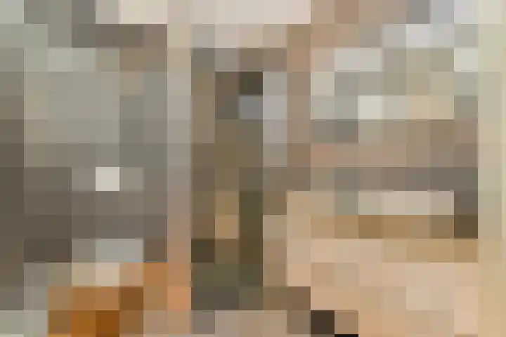 Johanna Dekhuijzenstraat 18 Rotterdam thumbnail 21