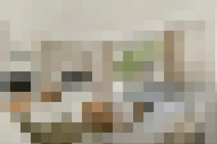Johanna Dekhuijzenstraat 18 Rotterdam thumbnail 8