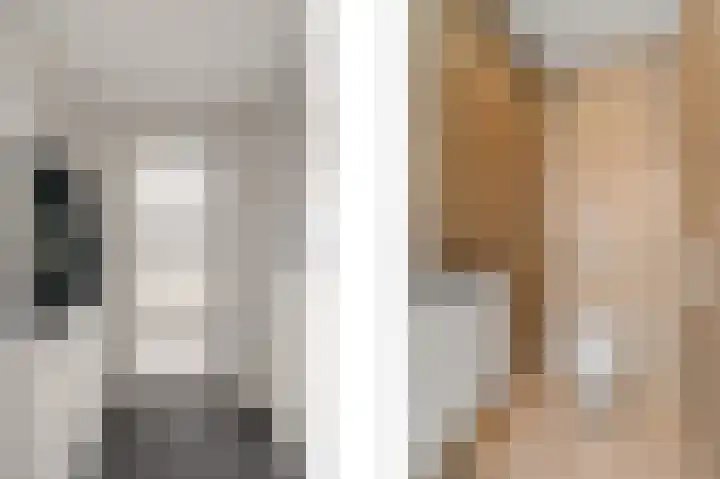 Johanna Dekhuijzenstraat 44 Rotterdam thumbnail 5