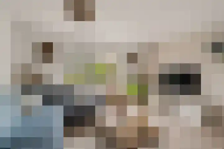 Johanna Dekhuijzenstraat 44 Rotterdam thumbnail 6
