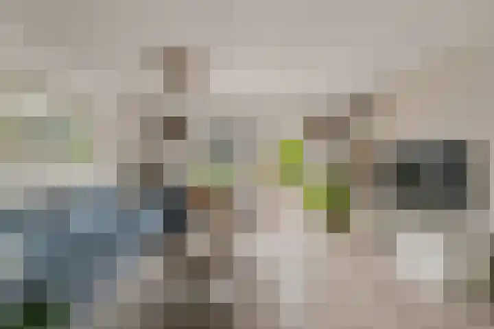 Johanna Dekhuijzenstraat 44 Rotterdam thumbnail 8