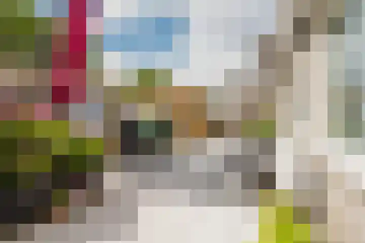 Johanna Engwirda-Agricolastraat 15 Spijkenisse thumbnail 18