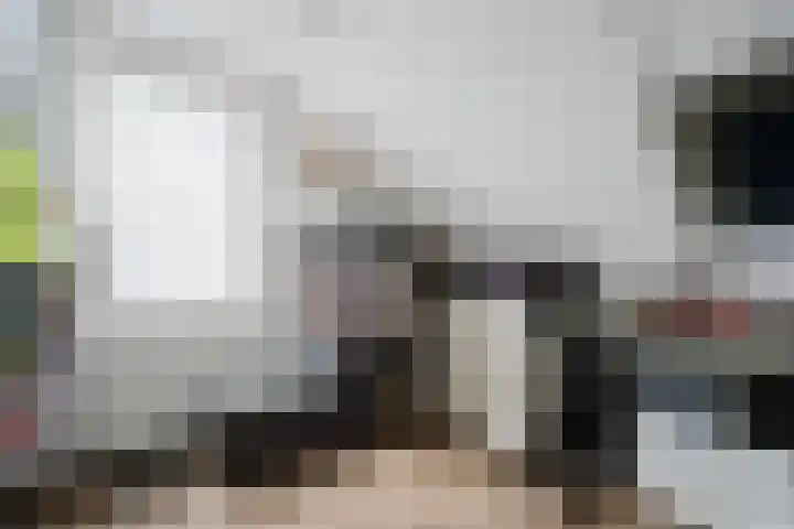 Johanna Engwirda-Agricolastraat 15 Spijkenisse thumbnail 22