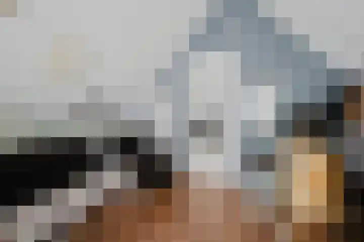 Johanna Engwirda-Agricolastraat 15 Spijkenisse thumbnail 29