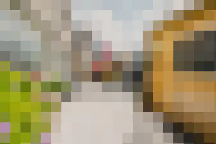 Johanna Engwirda-Agricolastraat 15 Spijkenisse thumbnail 5