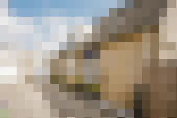 Johanna Engwirda-Agricolastraat 15 Spijkenisse thumbnail 9