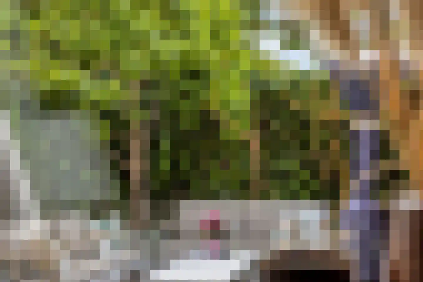 Johanna Engwirda-Agricolastraat 39 Spijkenisse thumbnail 12