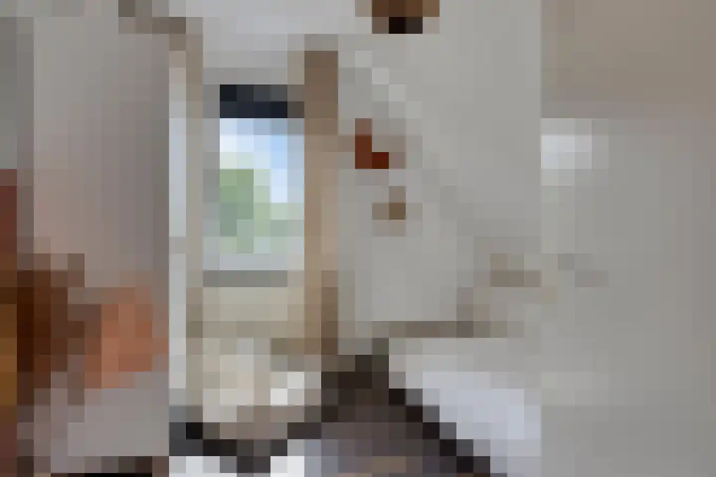 Johanna Engwirda-Agricolastraat 39 Spijkenisse thumbnail 20