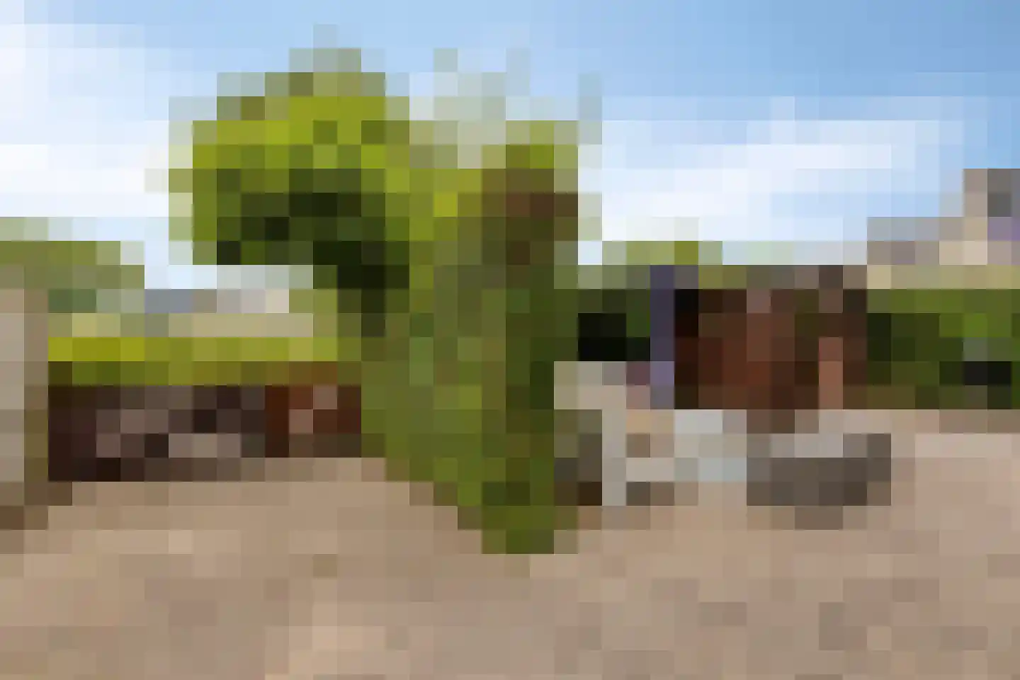 Johanna Engwirda-Agricolastraat 39 Spijkenisse thumbnail 24