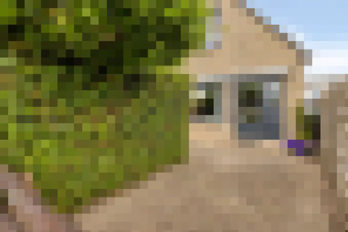 Johanna Engwirda-Agricolastraat 39 Spijkenisse thumbnail 25