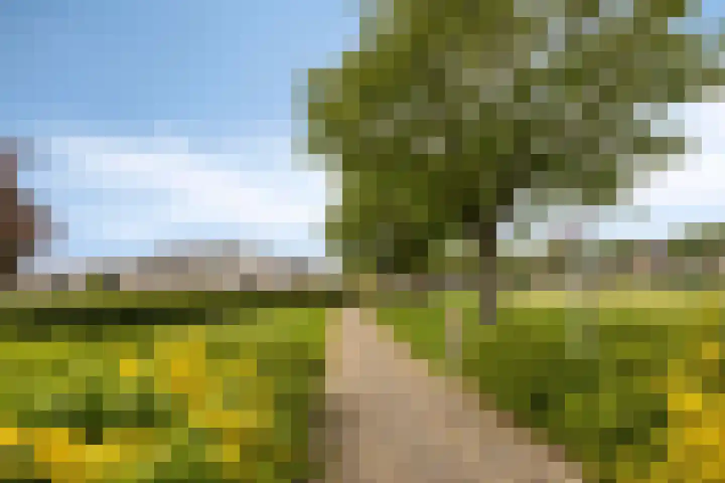 Johanna Engwirda-Agricolastraat 39 Spijkenisse thumbnail 29