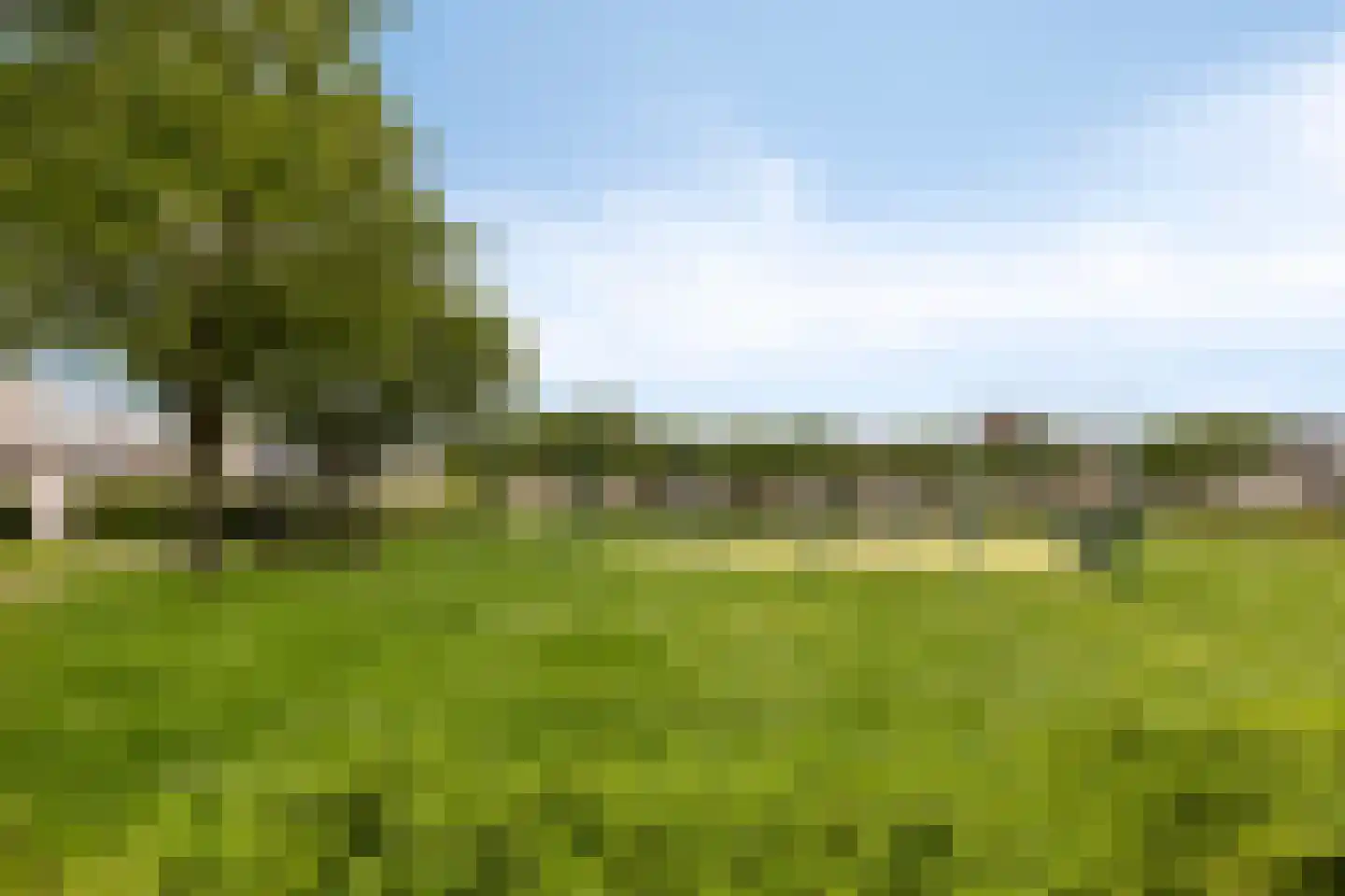 Johanna Engwirda-Agricolastraat 39 Spijkenisse thumbnail 30