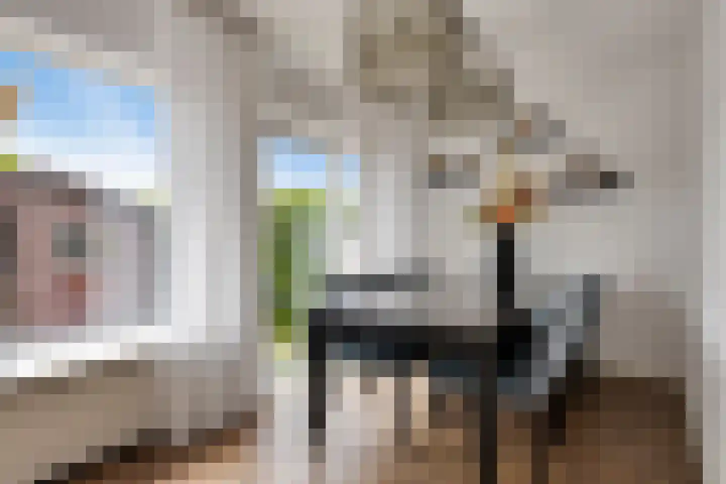 Johanna Engwirda-Agricolastraat 39 Spijkenisse thumbnail 8