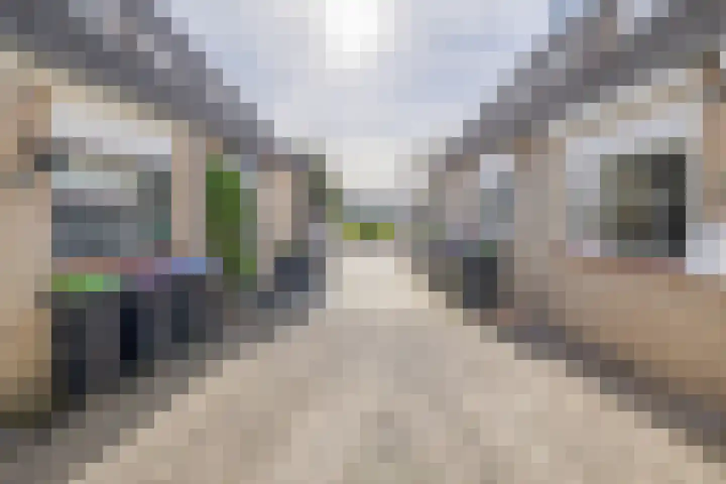 Johanna Engwirda-Agricolastraat 41 Spijkenisse thumbnail 12