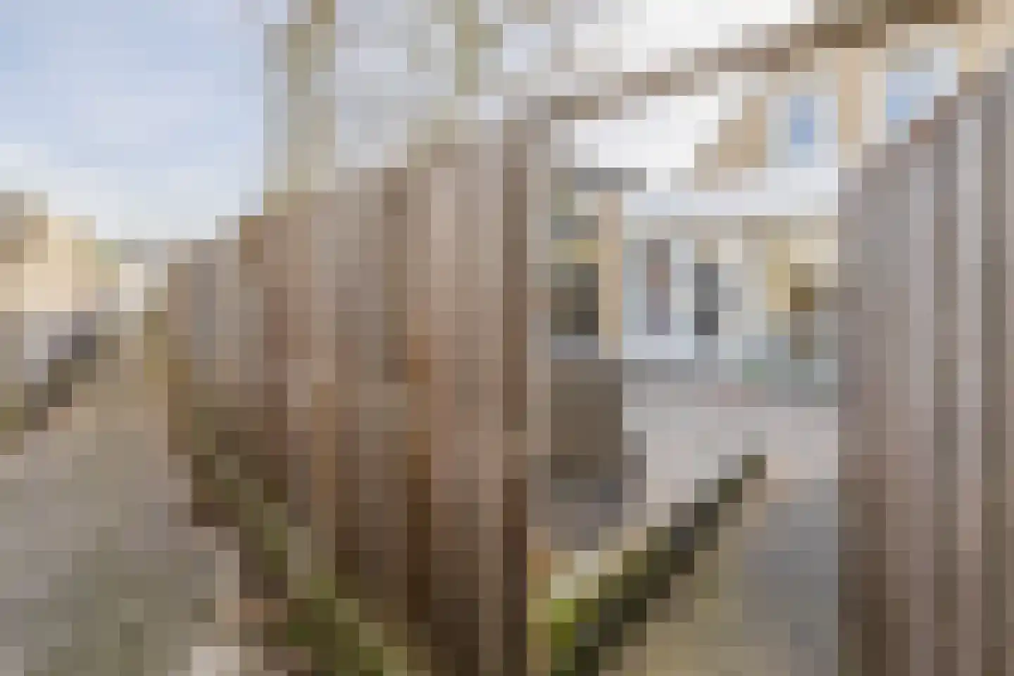 Johanna Engwirda-Agricolastraat 41 Spijkenisse thumbnail 32