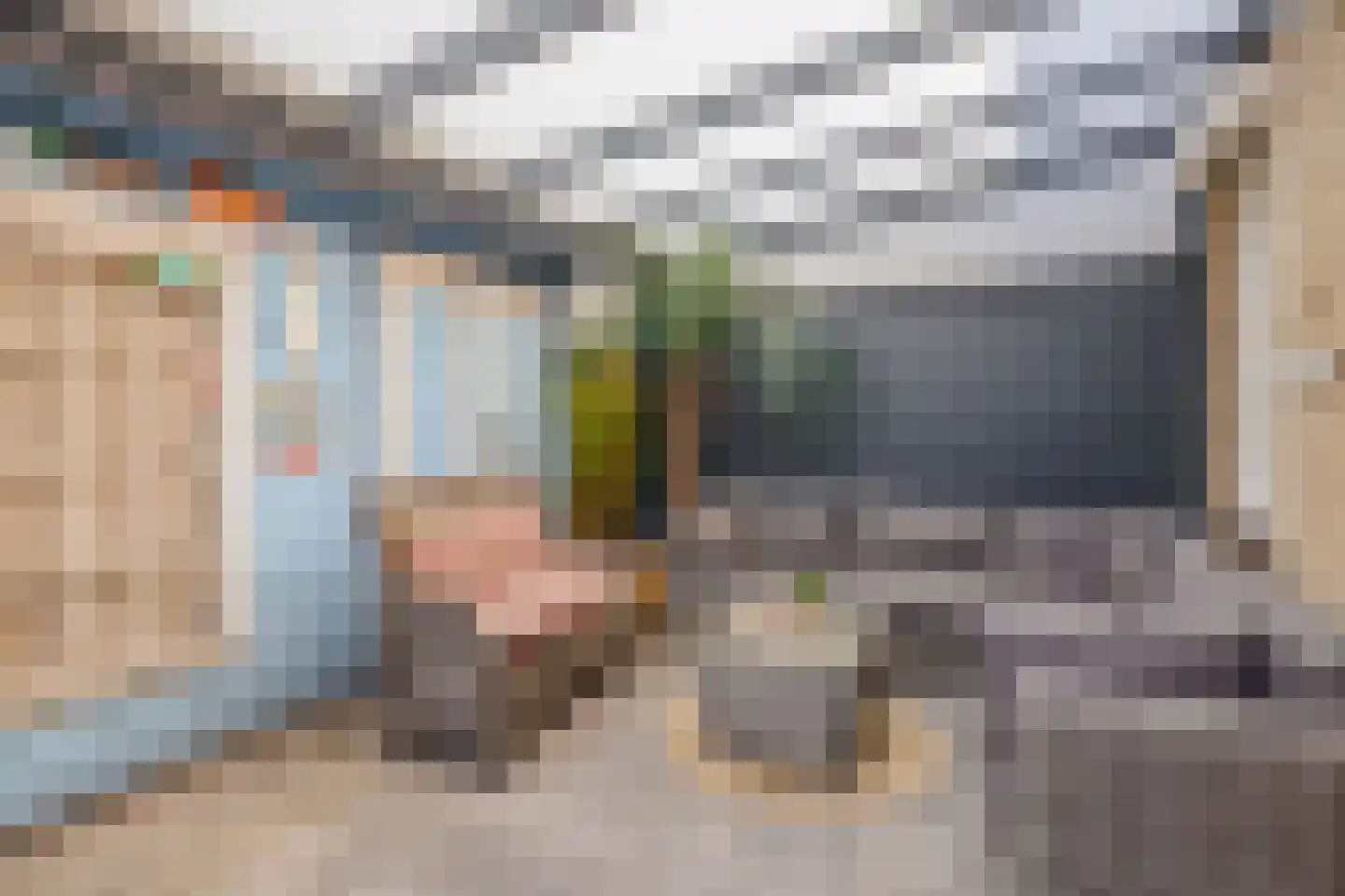 Johanna Engwirda-Agricolastraat 41 Spijkenisse thumbnail 4