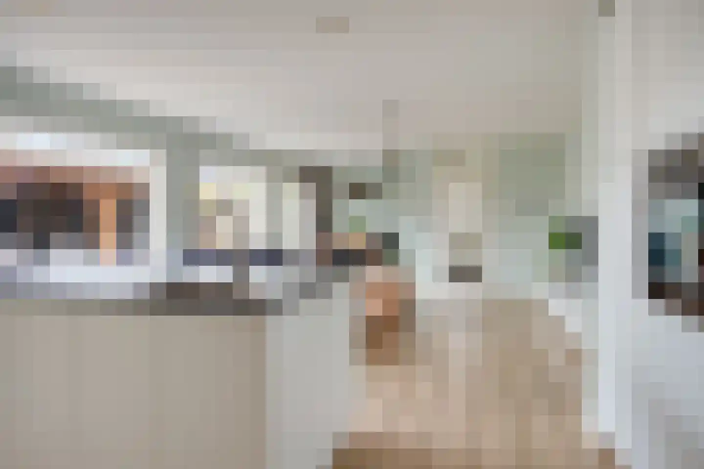 Johanna Engwirda-Agricolastraat 51 Spijkenisse thumbnail 6