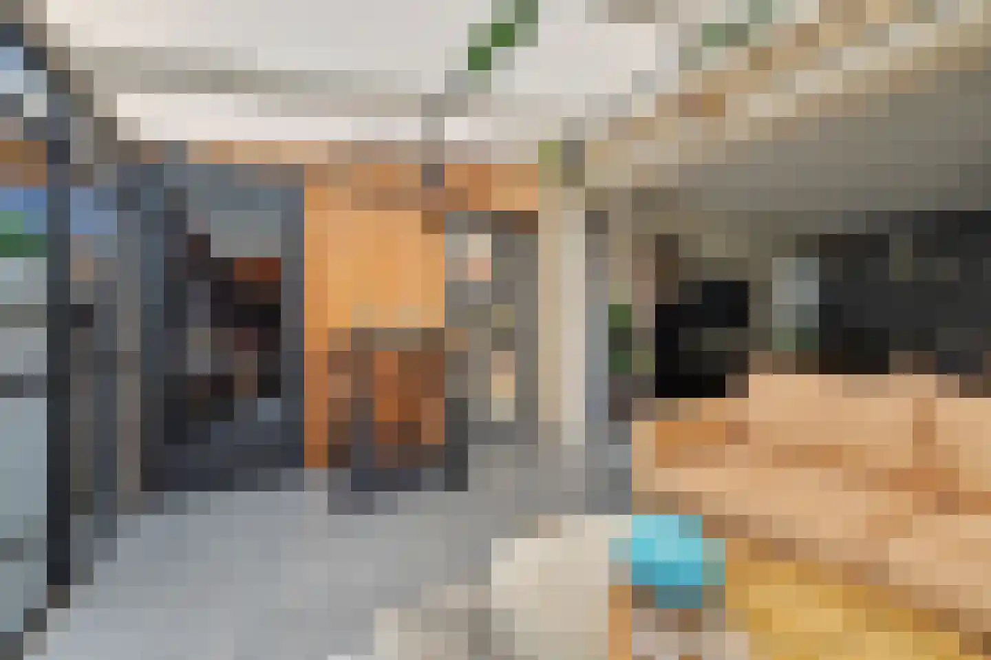 Johanna Engwirda-Agricolastraat 65 Spijkenisse thumbnail 34