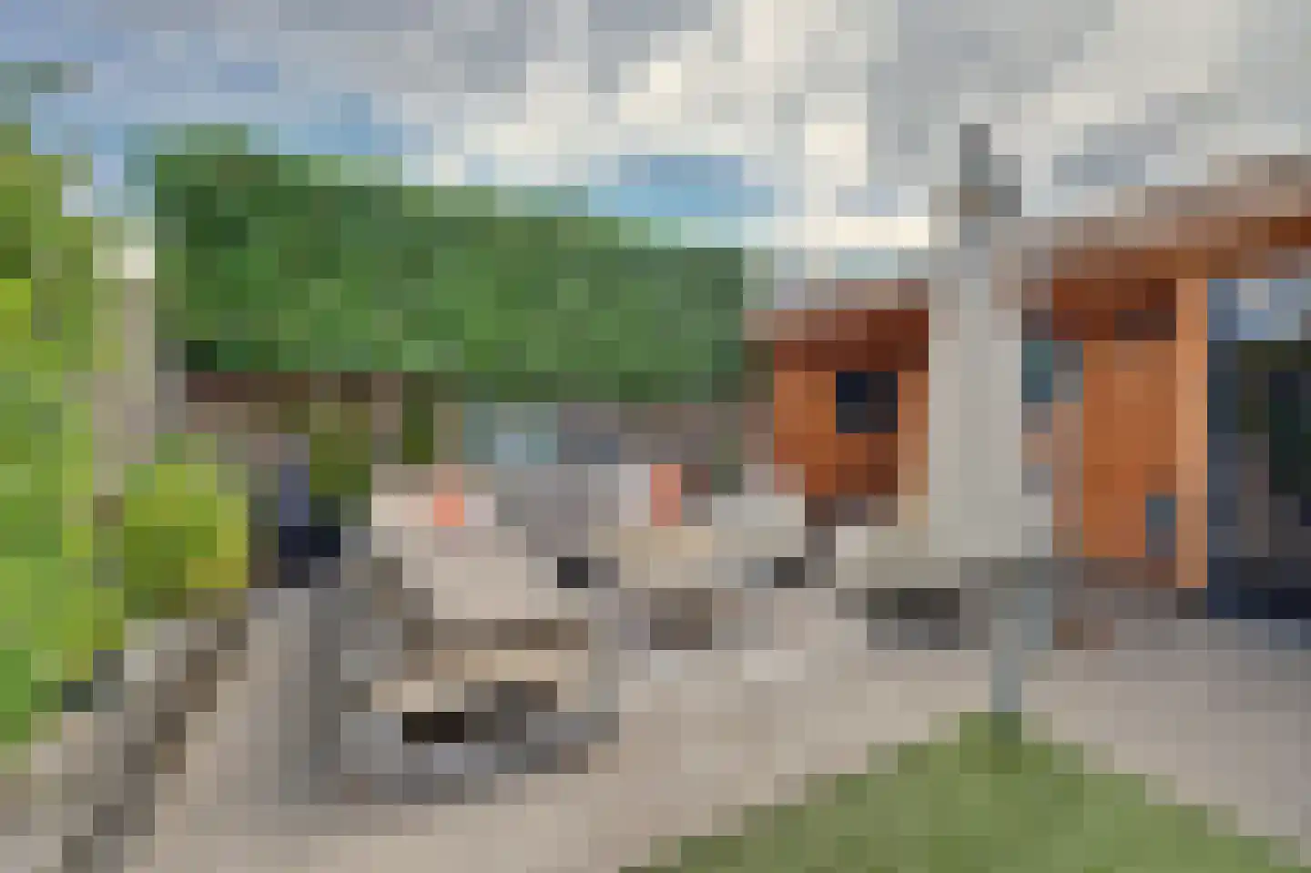 Johanna Engwirda-Agricolastraat 65 Spijkenisse thumbnail 36