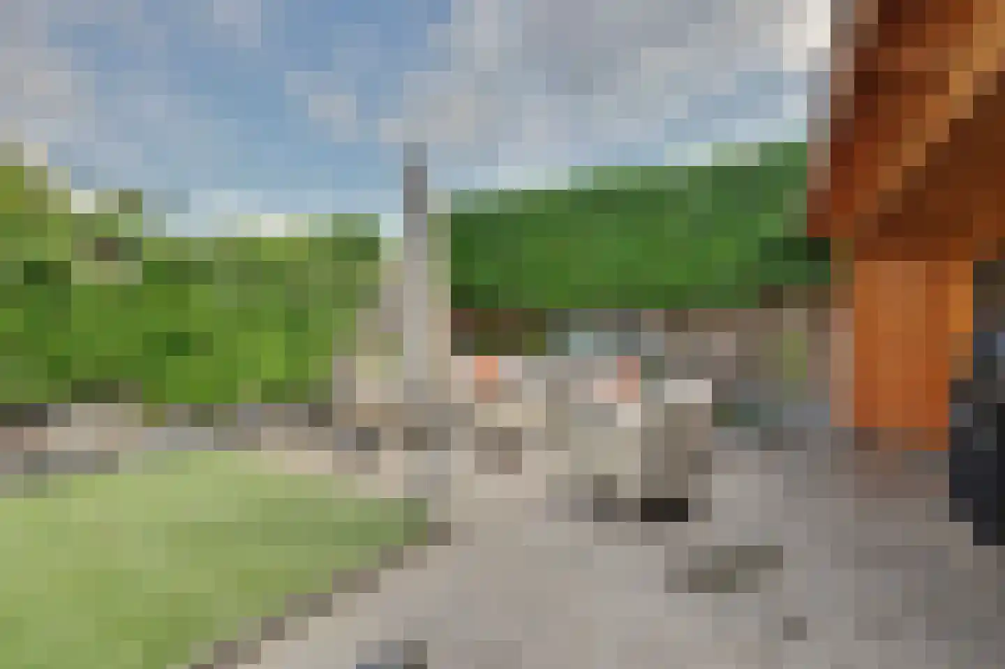 Johanna Engwirda-Agricolastraat 65 Spijkenisse thumbnail 37