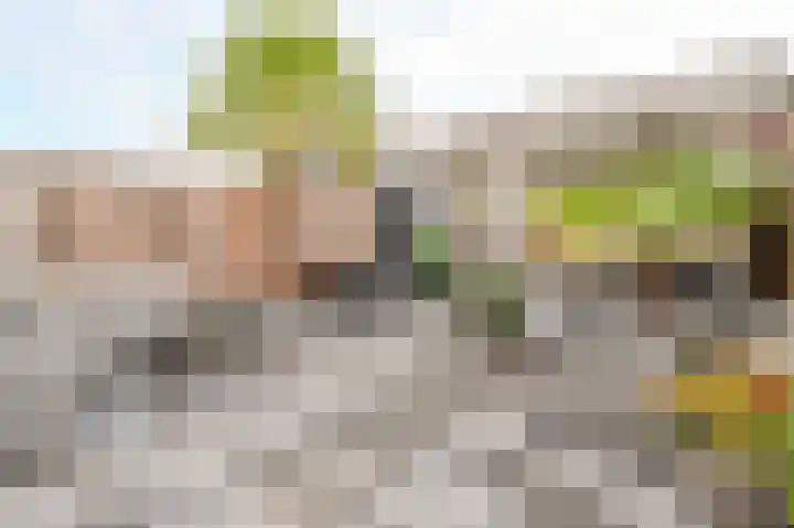 Johanna Engwirda-Agricolastraat 81 Spijkenisse thumbnail 15