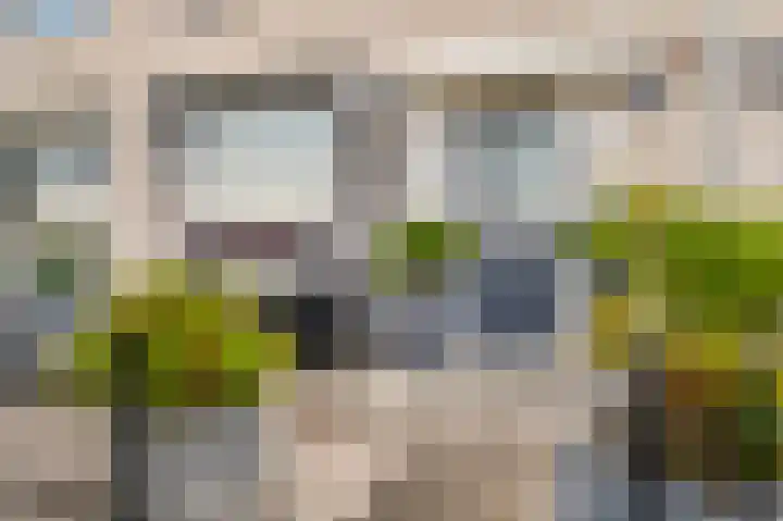 Johanna Engwirda-Agricolastraat 81 Spijkenisse thumbnail 8