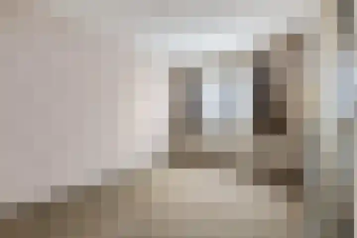 Johanna Haanenstraat 11 Ede thumbnail 12