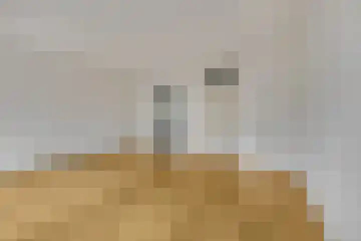 Johanna Haanenstraat 11 Ede thumbnail 4