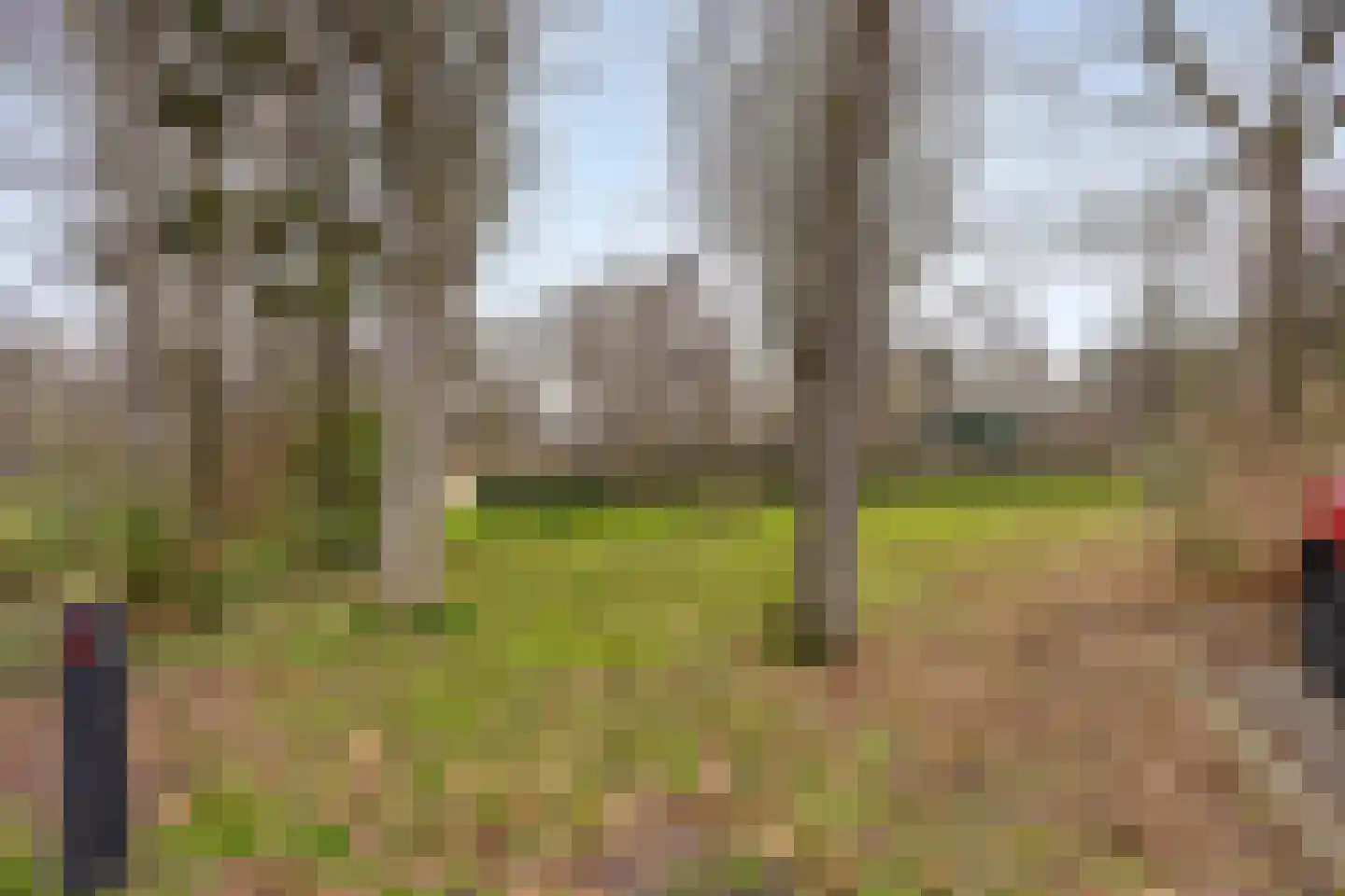 Johanna Hoeve 3 Gouda thumbnail 30
