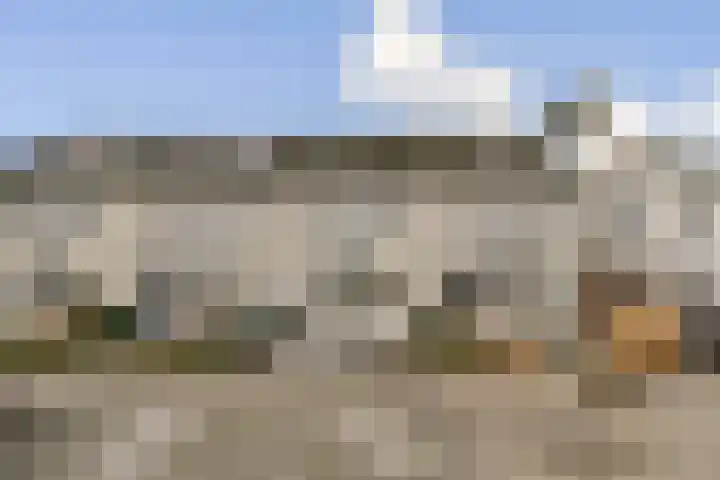 Johanna Naber-erf 146 in Dordrecht