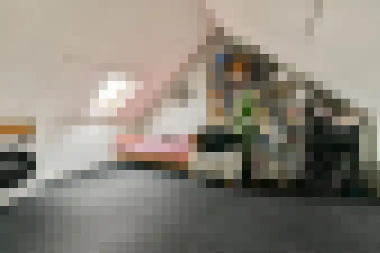 Johanna Naber-erf 146 Dordrecht thumbnail 21