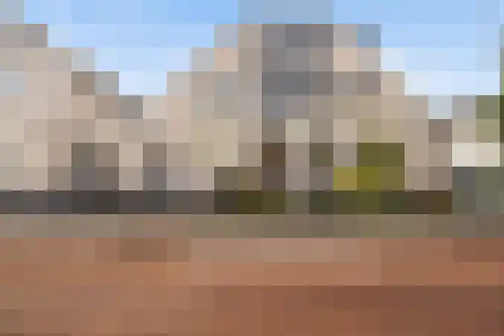 Johanna Naber-erf 424 in Dordrecht