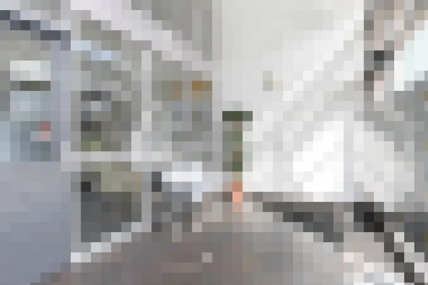 Johanna Naber-erf 433 A Dordrecht thumbnail 17